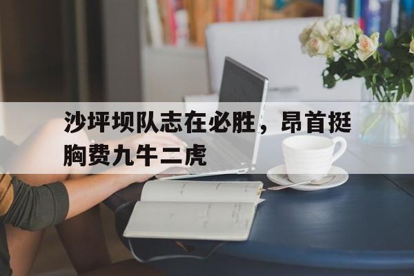 包含沙坪坝队志在必胜，昂首挺胸费九牛二虎的词条