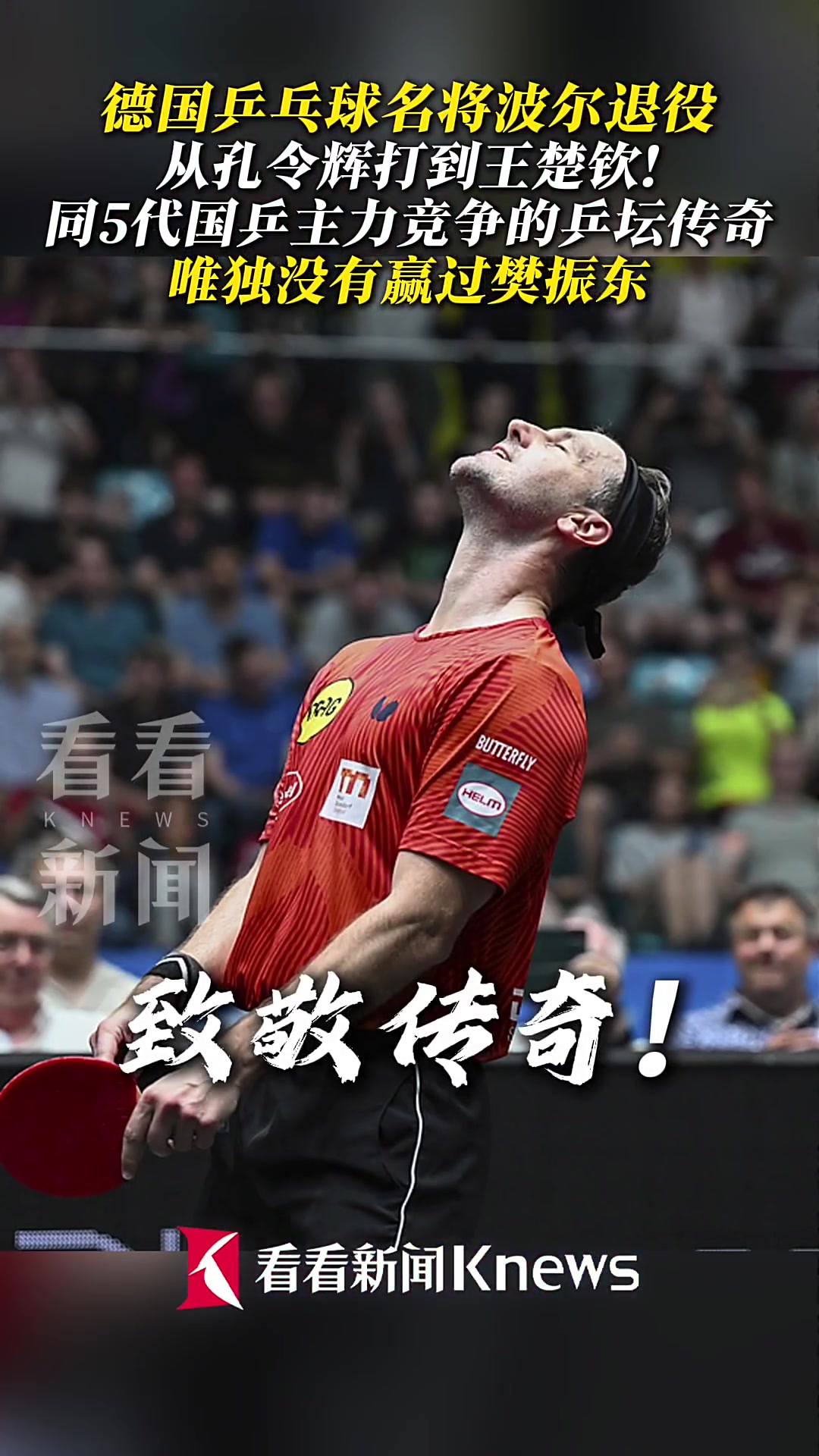 关于波兰乒乓球队爆冷日本乒乓球队，波尔一己之力扛起全队的信息