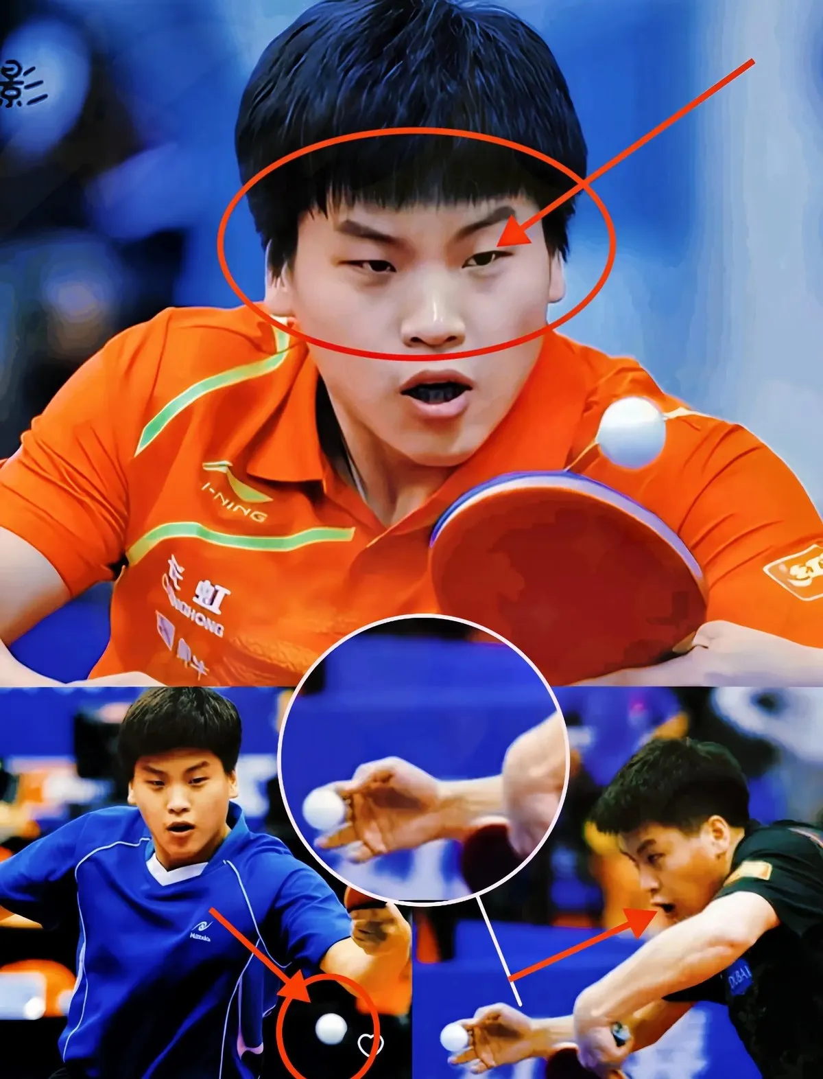 奥地利乒乓球队横扫德国乒乓球队,张继科绝境逆转的简单介绍 奥地利乒乓球队横扫德国乒乓球队,张继科绝境逆转的简单介绍